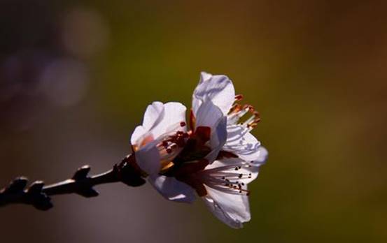 u=781600254,301124526&fm=15&gp=0